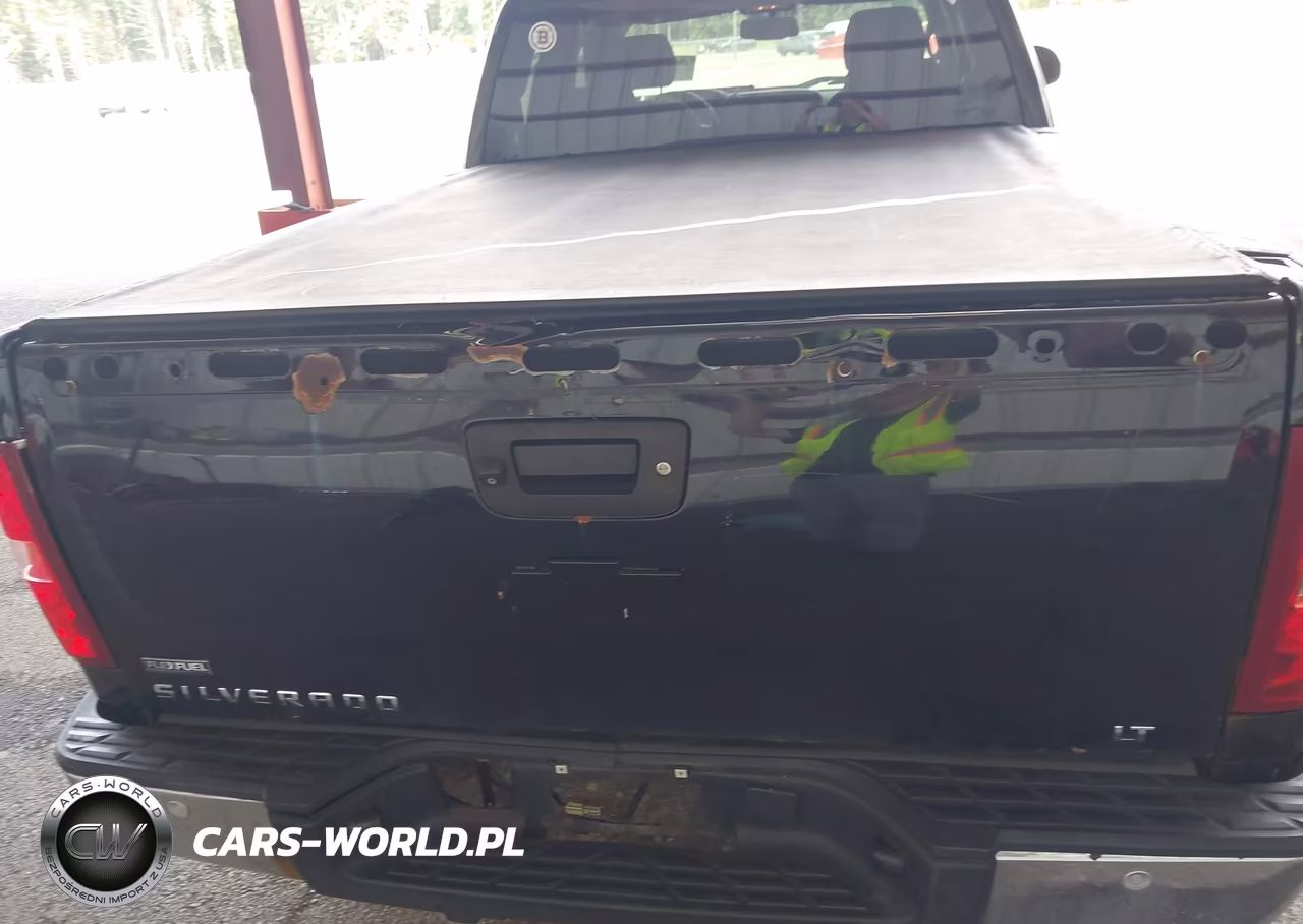 2009 Chevrolet Silverado 1500 Lt VIN:1GCEK29079Z262413 - 20