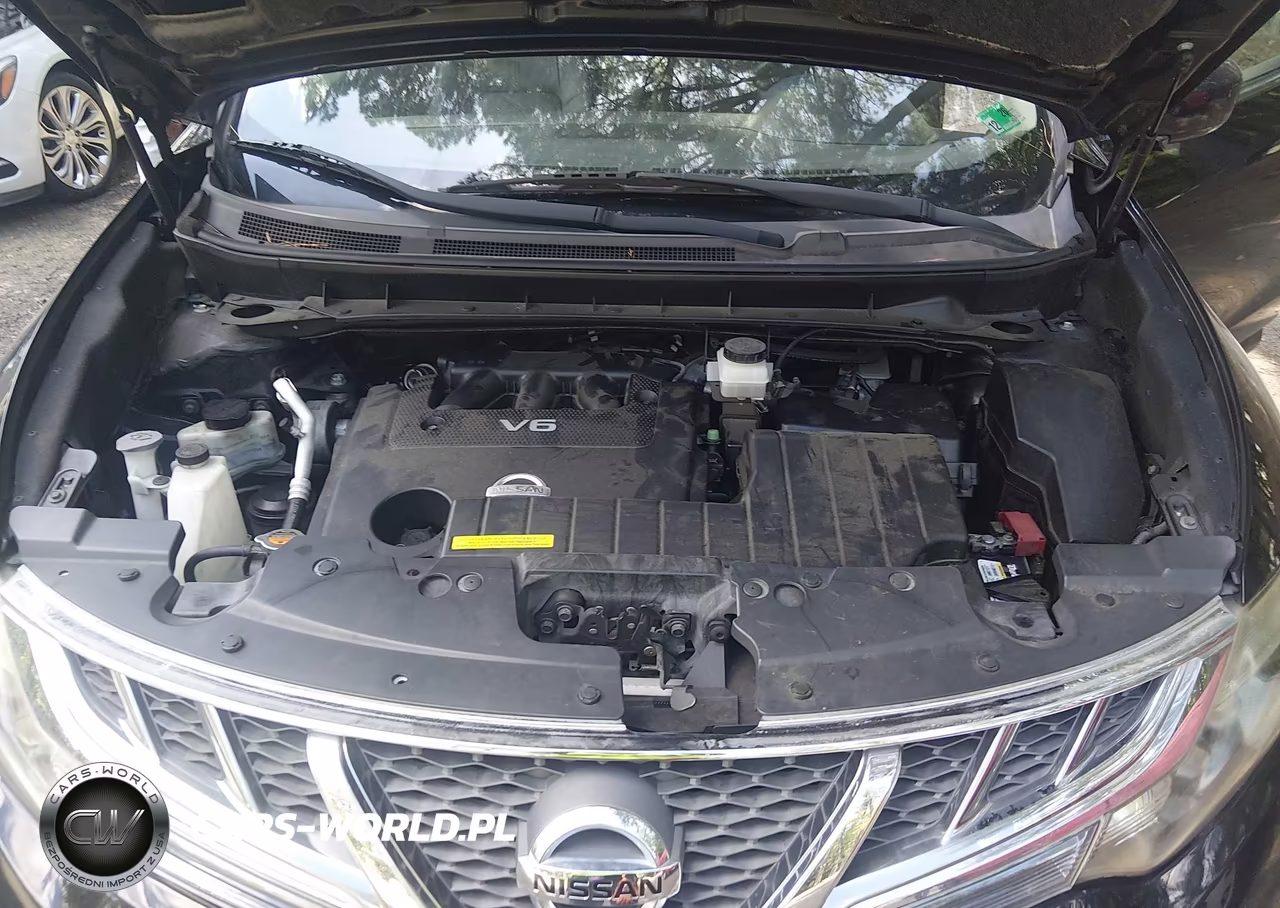 2011 Nissan Murano Crosscabriolet VIN:JN8AZ1FY0BW001229 - 10