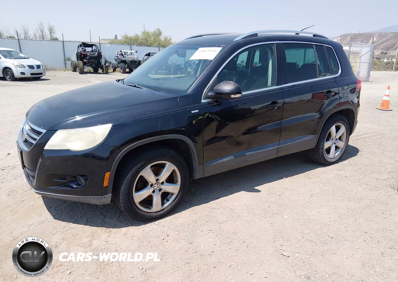 2010 Volkswagen Tiguan Wolfsburg Edition VIN:WVGBV7AX1AW514058 - 2