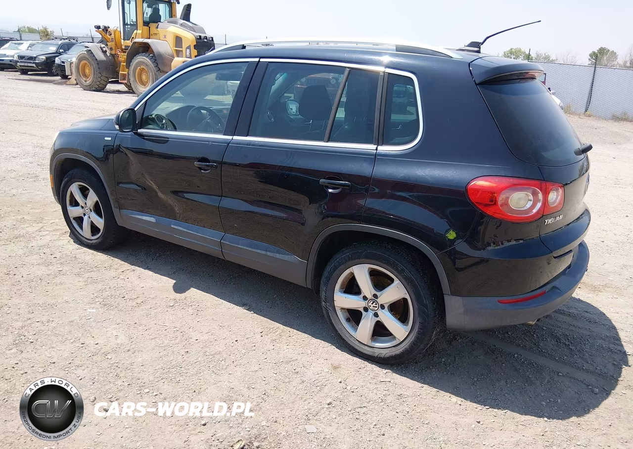 2010 Volkswagen Tiguan Wolfsburg Edition VIN:WVGBV7AX1AW514058 - 3