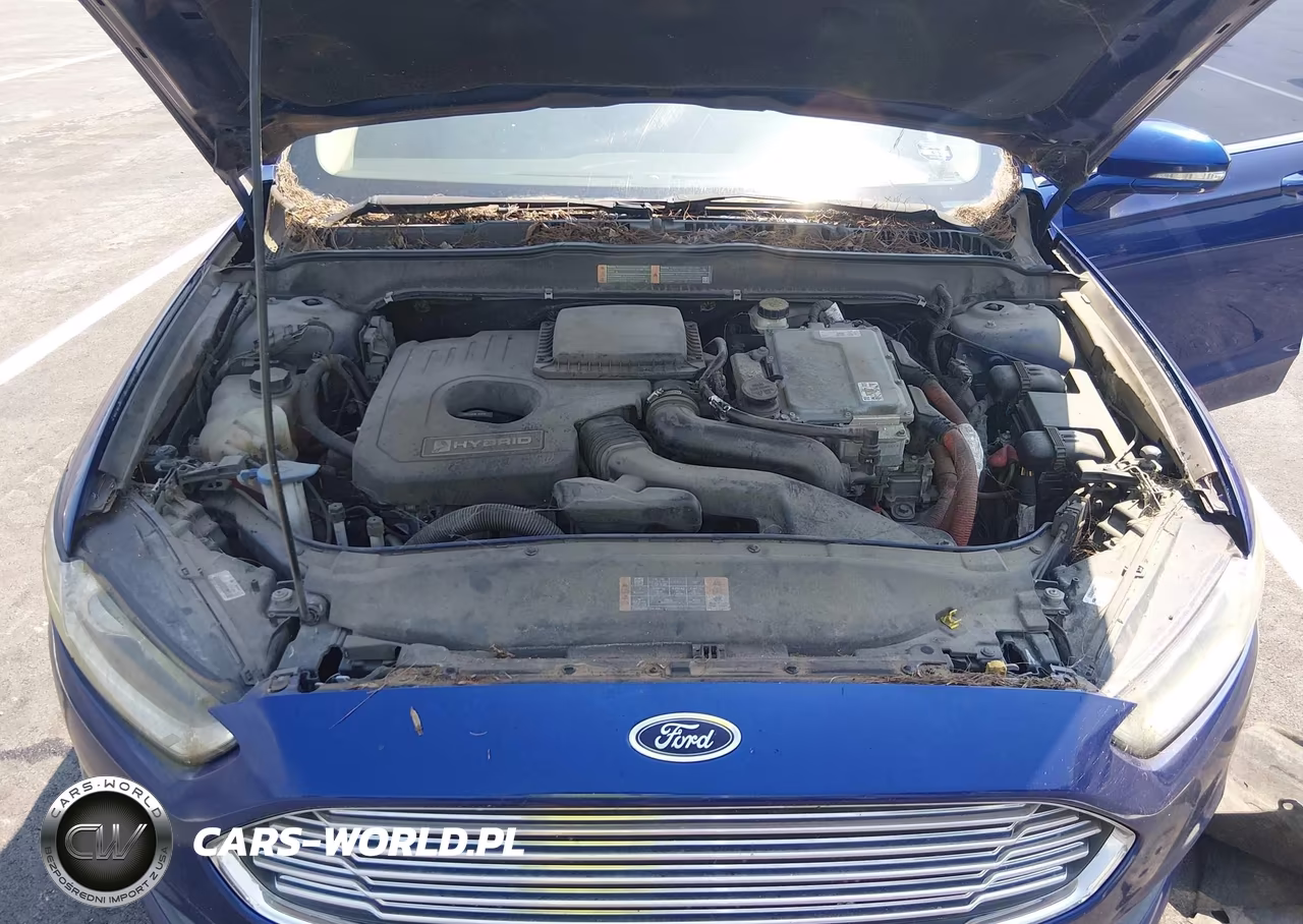 2014 Ford Fusion Hybrid Se VIN:3FA6P0LU4ER300223 - 10
