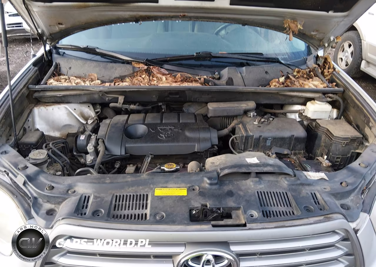 2010 Toyota Highlander VIN:5TDZA3EH3AS006006 - 10