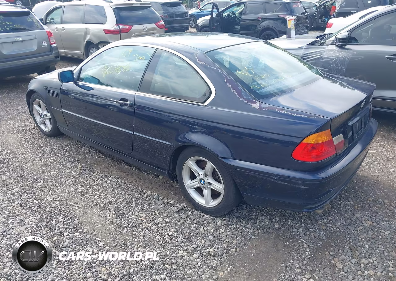 2003 BMW 325Ci VIN:WBABN33463PG61036 - 3