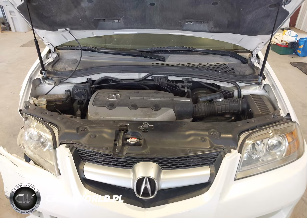 2006 Acura Mdx VIN:2HNYD18926H544207 - 10