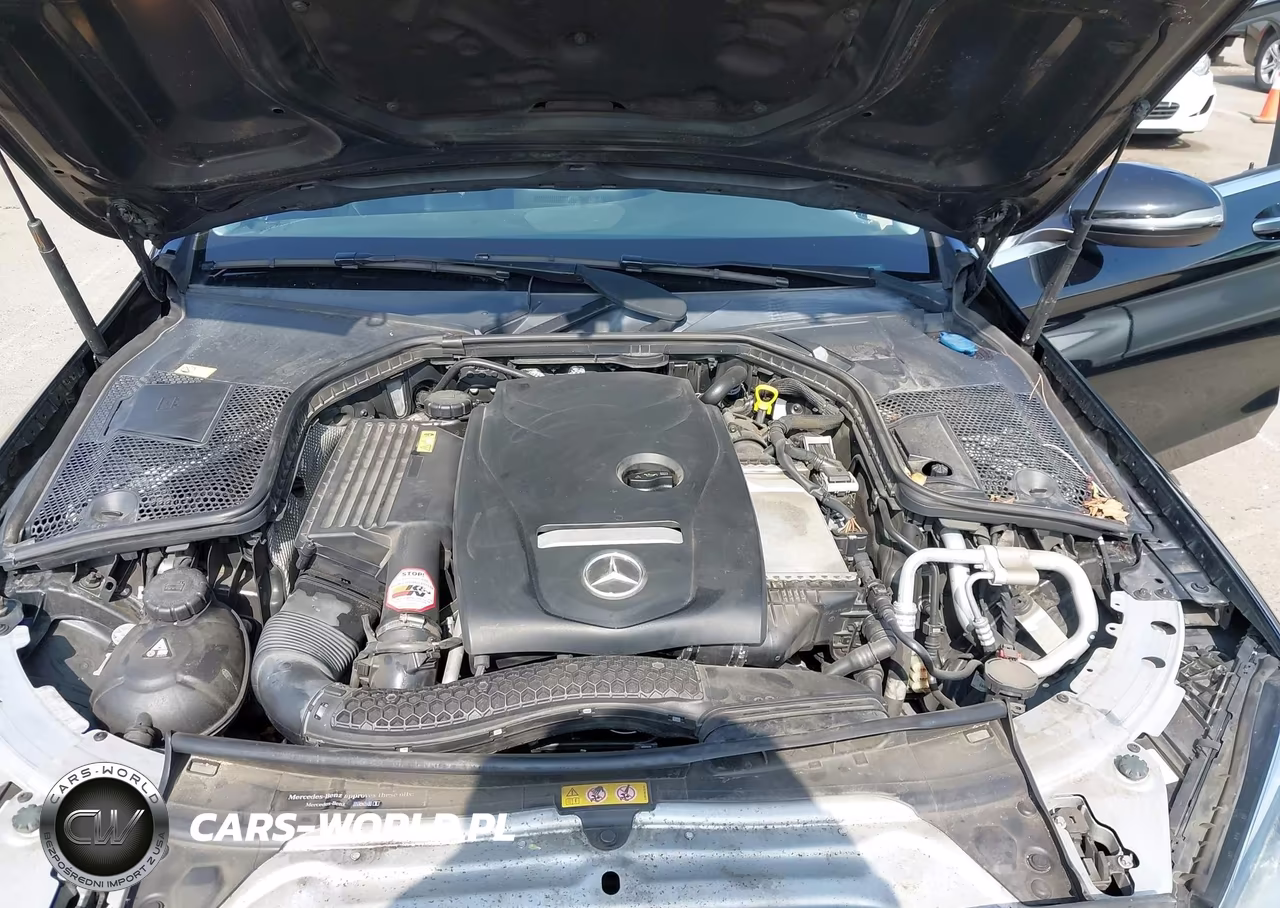 2016 Mercedes-Benz C 300 VIN:55SWF4JB0GU119919 - 10