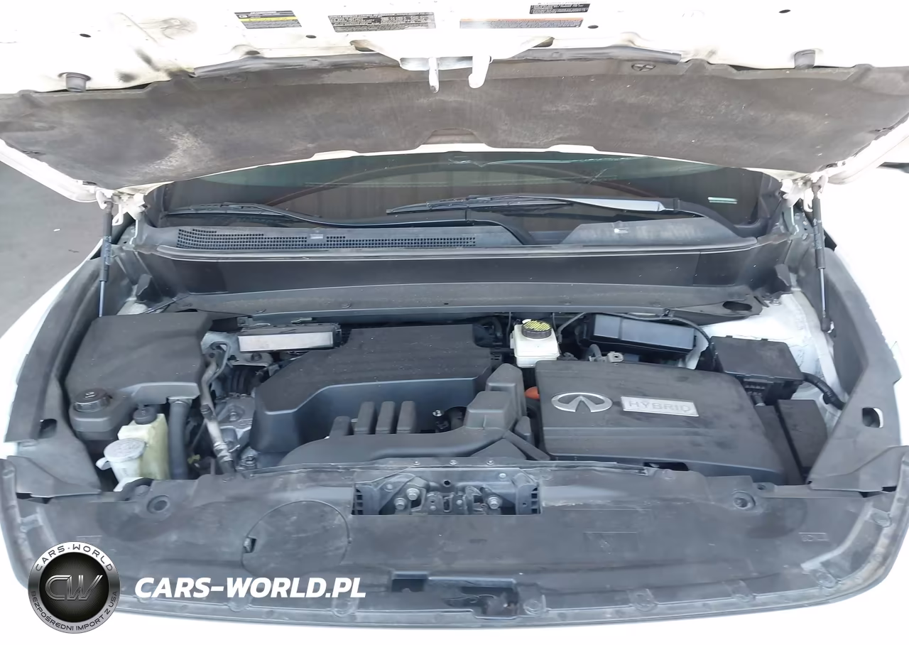 2014 Infiniti Qx60 Hybrid VIN:5N1CL0MM4EC525145 - 10