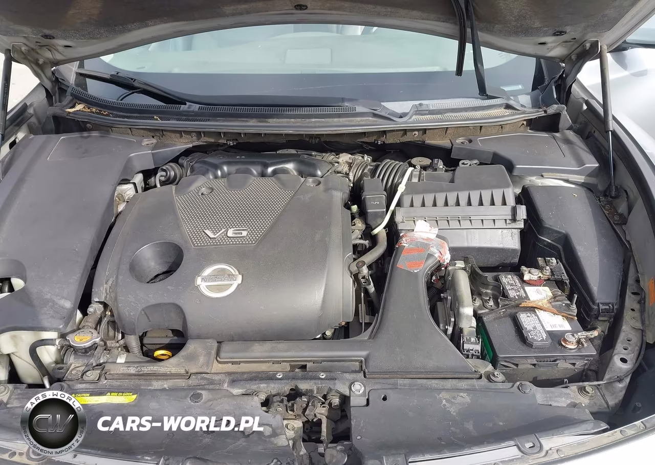2009 Nissan Maxima 3.5 Sv VIN:1N4AA51E59C803350 - 10