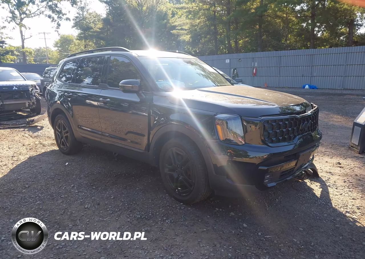2024 Kia Telluride Sx Prestige X-Line VIN:5XYP5DGC6RG483816 - 1