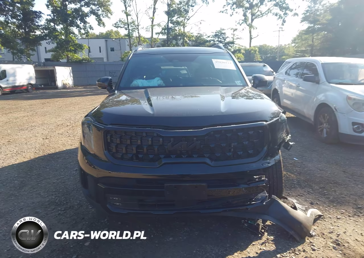 2024 Kia Telluride Sx Prestige X-Line VIN:5XYP5DGC6RG483816 - 12