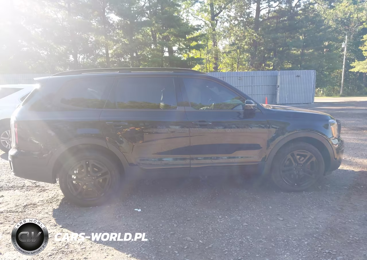 2024 Kia Telluride Sx Prestige X-Line VIN:5XYP5DGC6RG483816 - 13