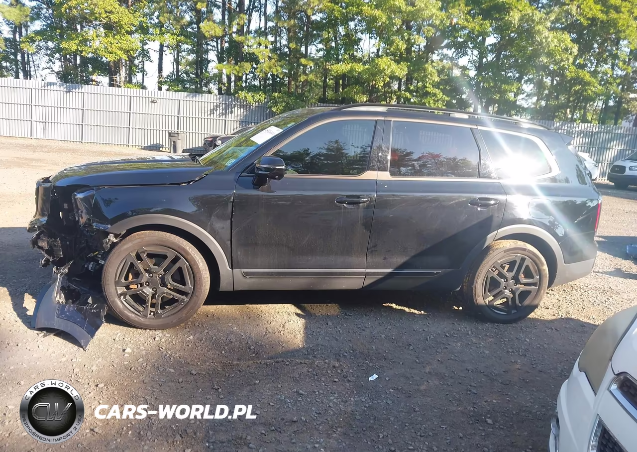 2024 Kia Telluride Sx Prestige X-Line VIN:5XYP5DGC6RG483816 - 14