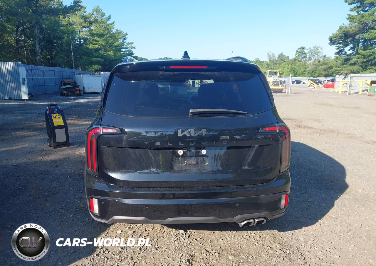 2024 Kia Telluride Sx Prestige X-Line VIN:5XYP5DGC6RG483816 - 16