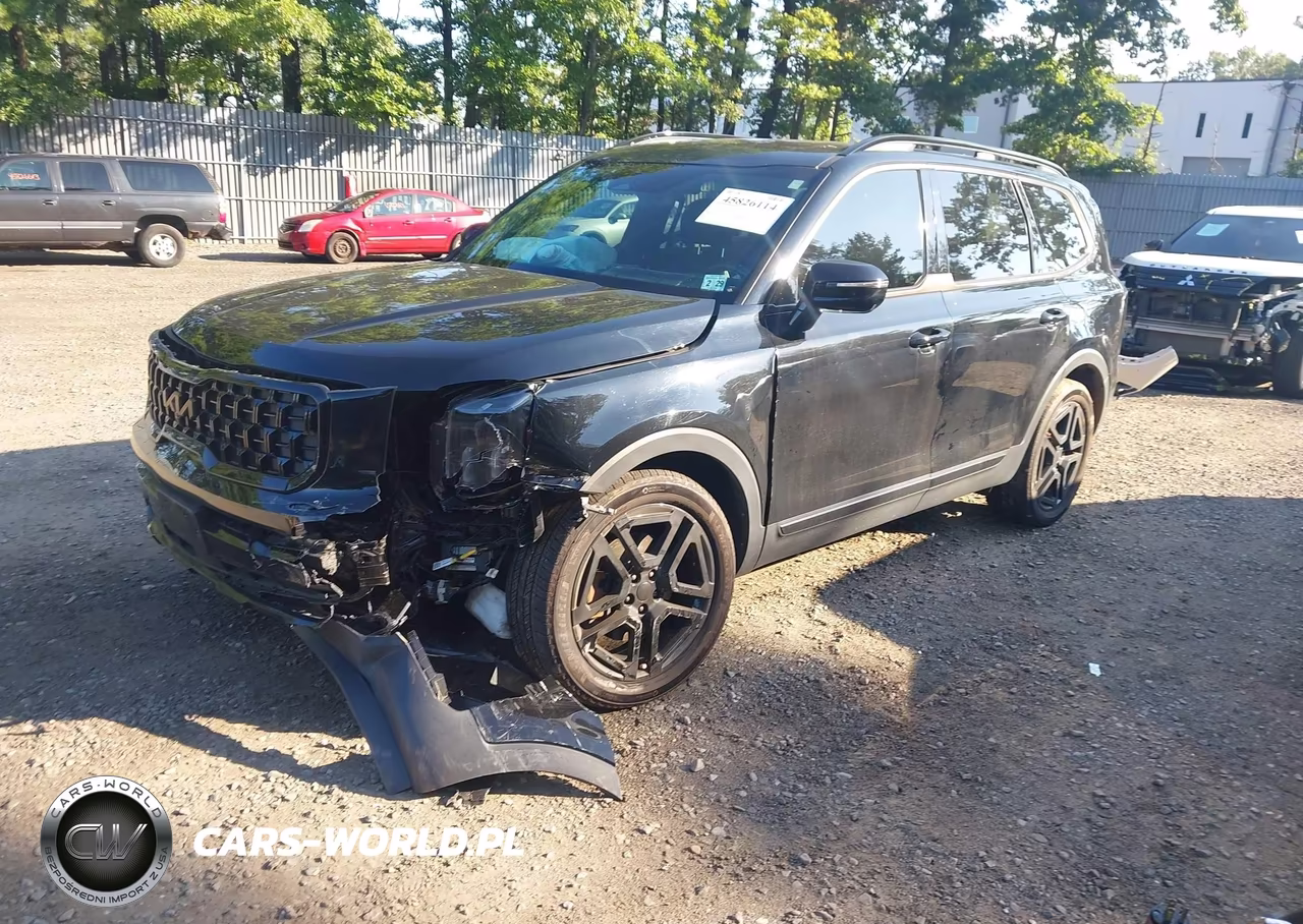 2024 Kia Telluride Sx Prestige X-Line VIN:5XYP5DGC6RG483816 - 2