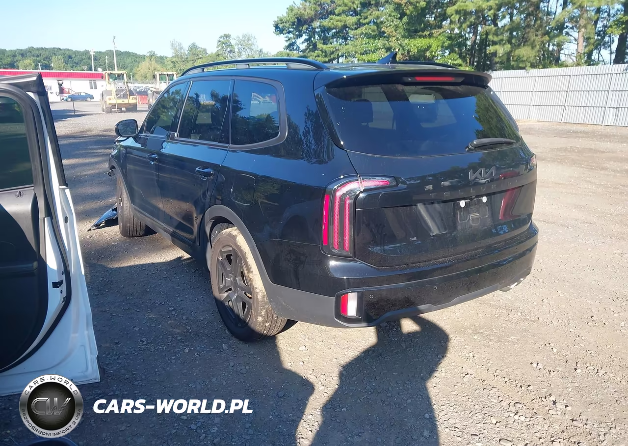 2024 Kia Telluride Sx Prestige X-Line VIN:5XYP5DGC6RG483816 - 3