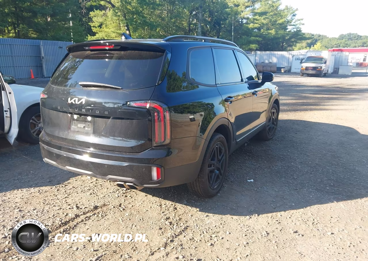 2024 Kia Telluride Sx Prestige X-Line VIN:5XYP5DGC6RG483816 - 4