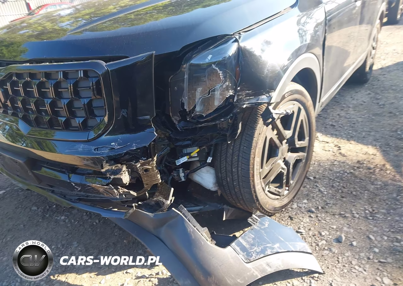 2024 Kia Telluride Sx Prestige X-Line VIN:5XYP5DGC6RG483816 - 6