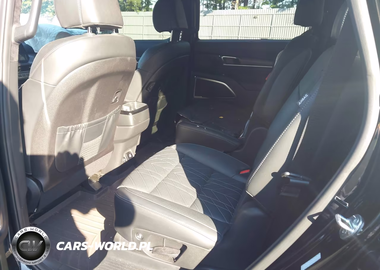 2024 Kia Telluride Sx Prestige X-Line VIN:5XYP5DGC6RG483816 - 8