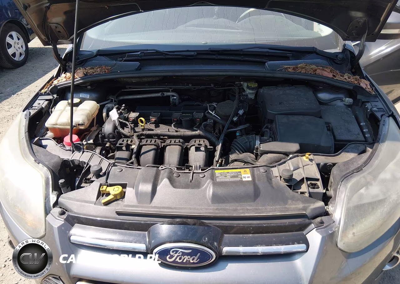 2013 Ford Focus Titanium VIN:1FADP3N25DL112490 - 10