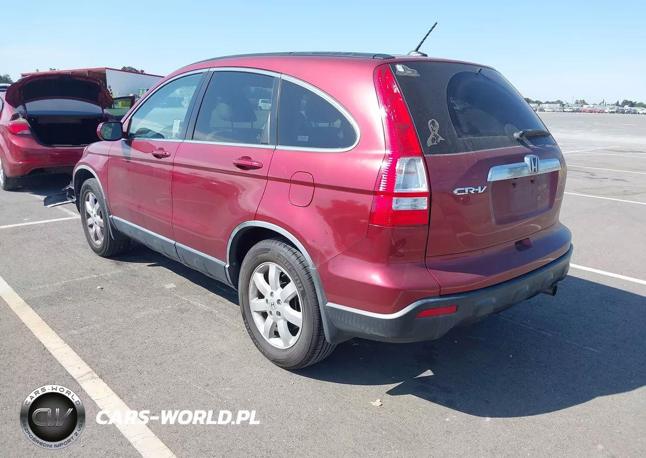 2008 Honda Cr-V Ex-L VIN:JHLRE38798C044555 - 3