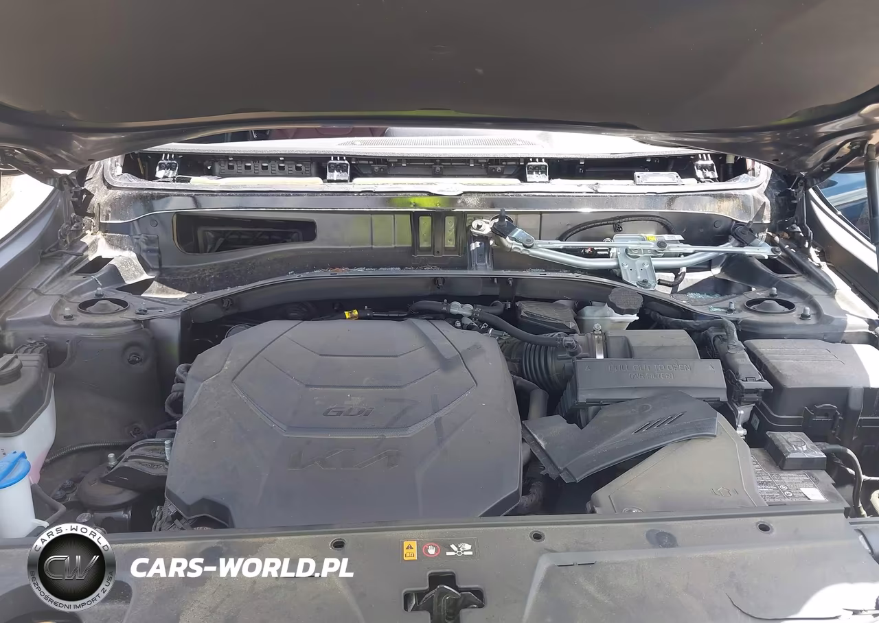 2024 Kia Telluride Ex VIN:5XYP34GCXRG531954 - 10