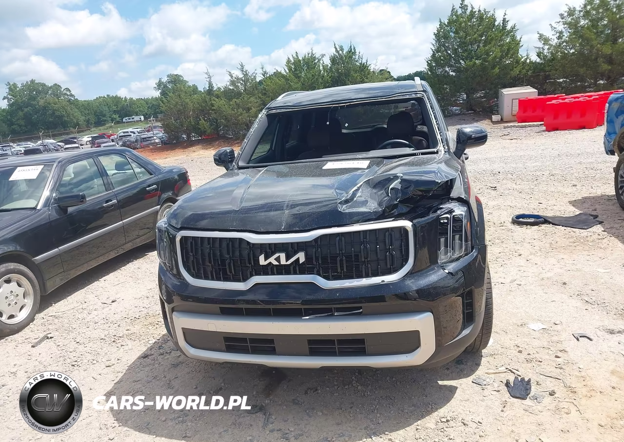 2024 Kia Telluride Ex VIN:5XYP34GCXRG531954 - 13