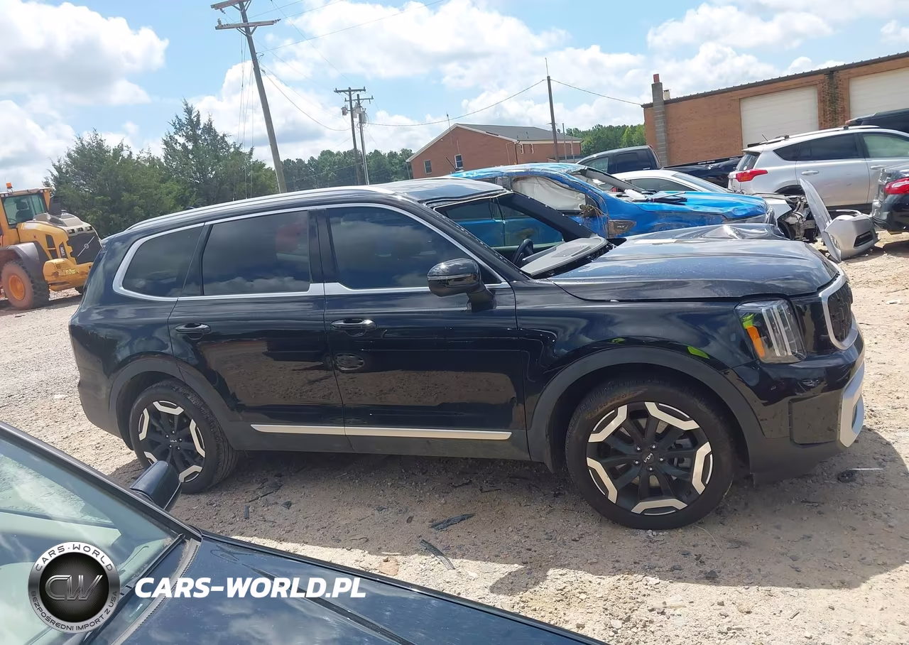 2024 Kia Telluride Ex VIN:5XYP34GCXRG531954 - 14