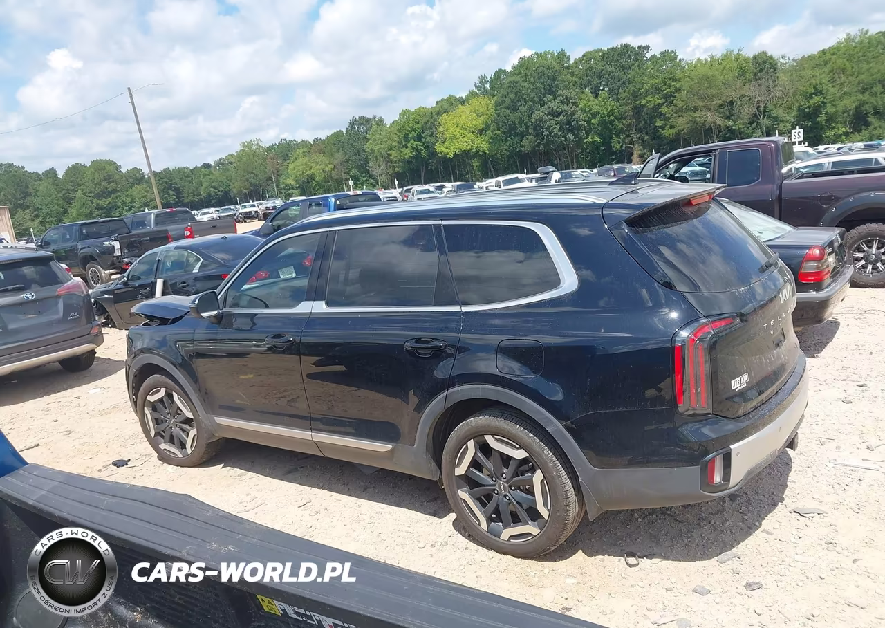 2024 Kia Telluride Ex VIN:5XYP34GCXRG531954 - 15