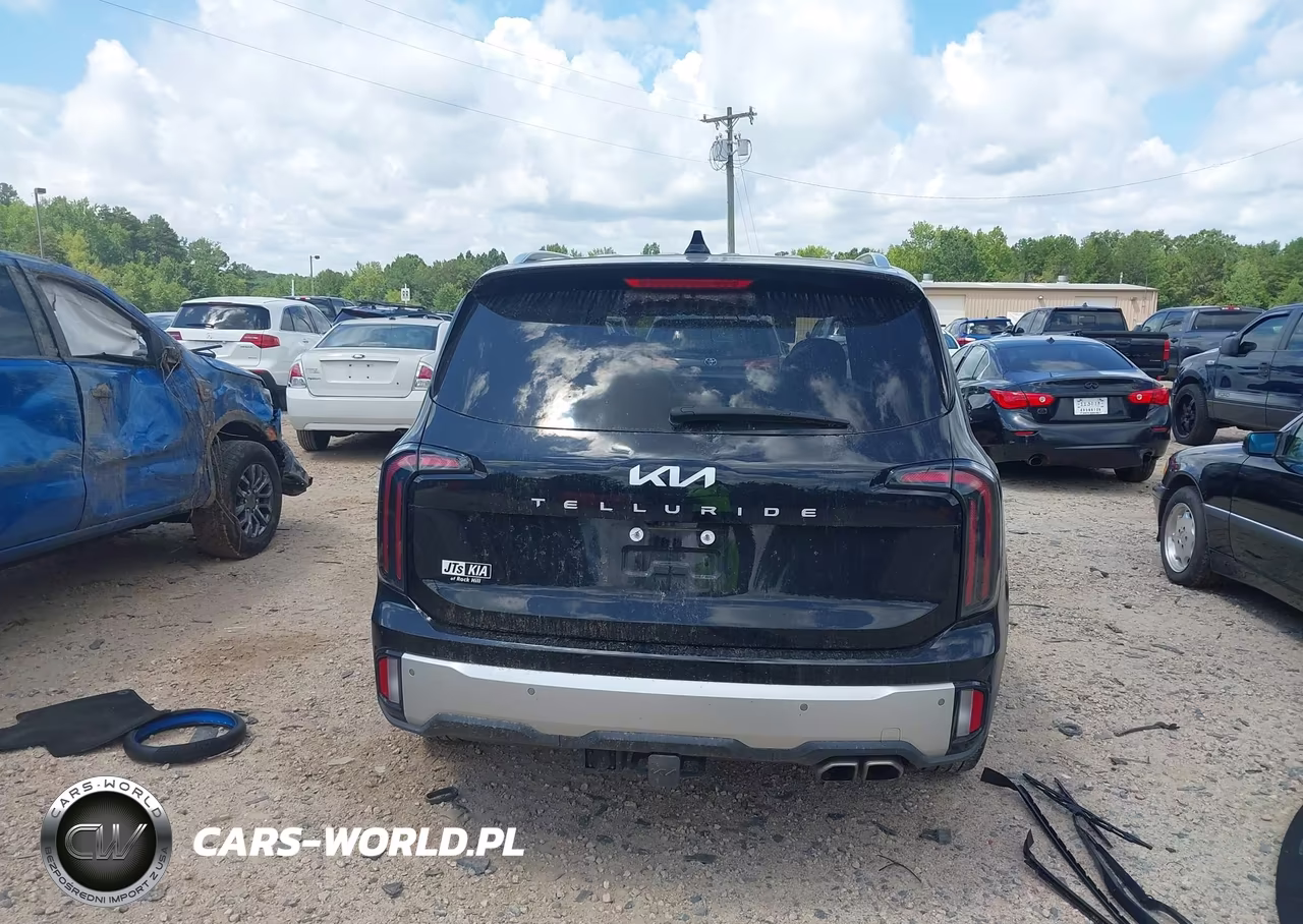 2024 Kia Telluride Ex VIN:5XYP34GCXRG531954 - 17