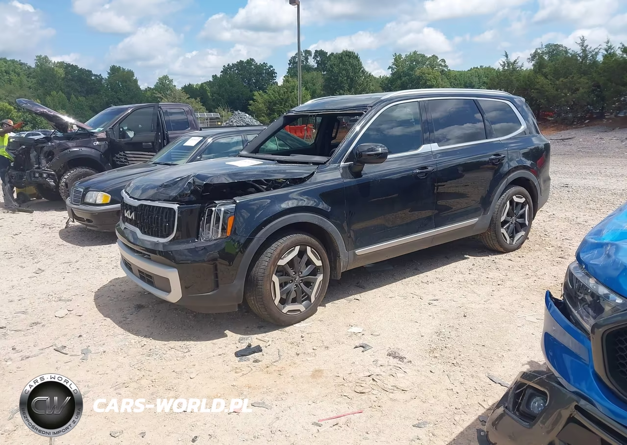 2024 Kia Telluride Ex VIN:5XYP34GCXRG531954 - 2