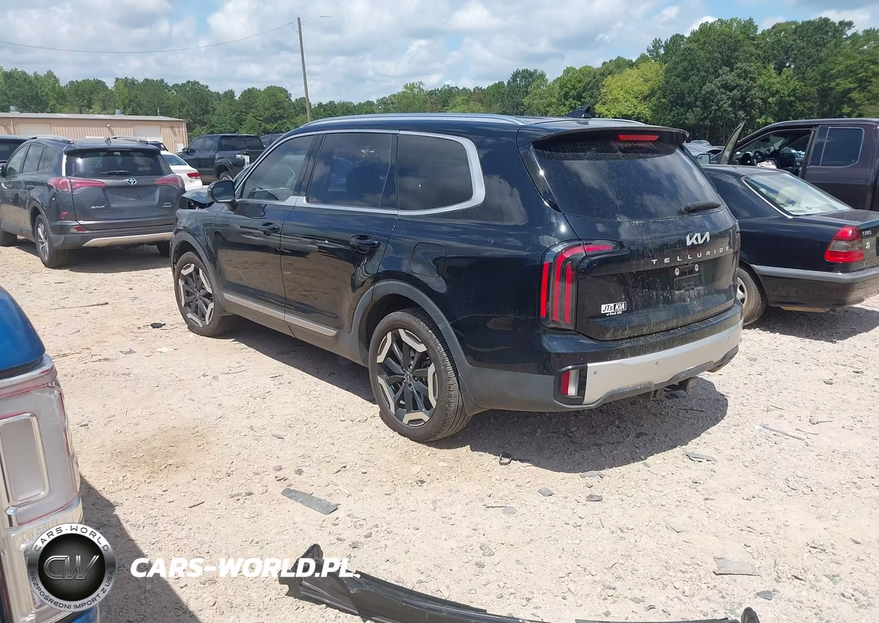 2024 Kia Telluride Ex VIN:5XYP34GCXRG531954 - 3