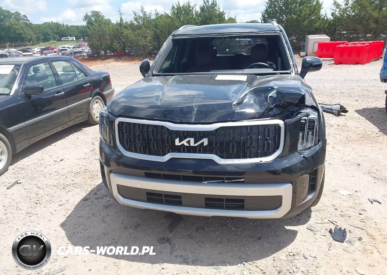 2024 Kia Telluride Ex VIN:5XYP34GCXRG531954 - 6