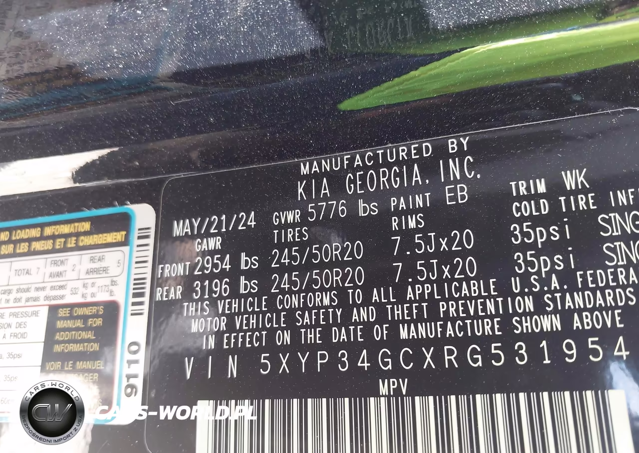 2024 Kia Telluride Ex VIN:5XYP34GCXRG531954 - 9