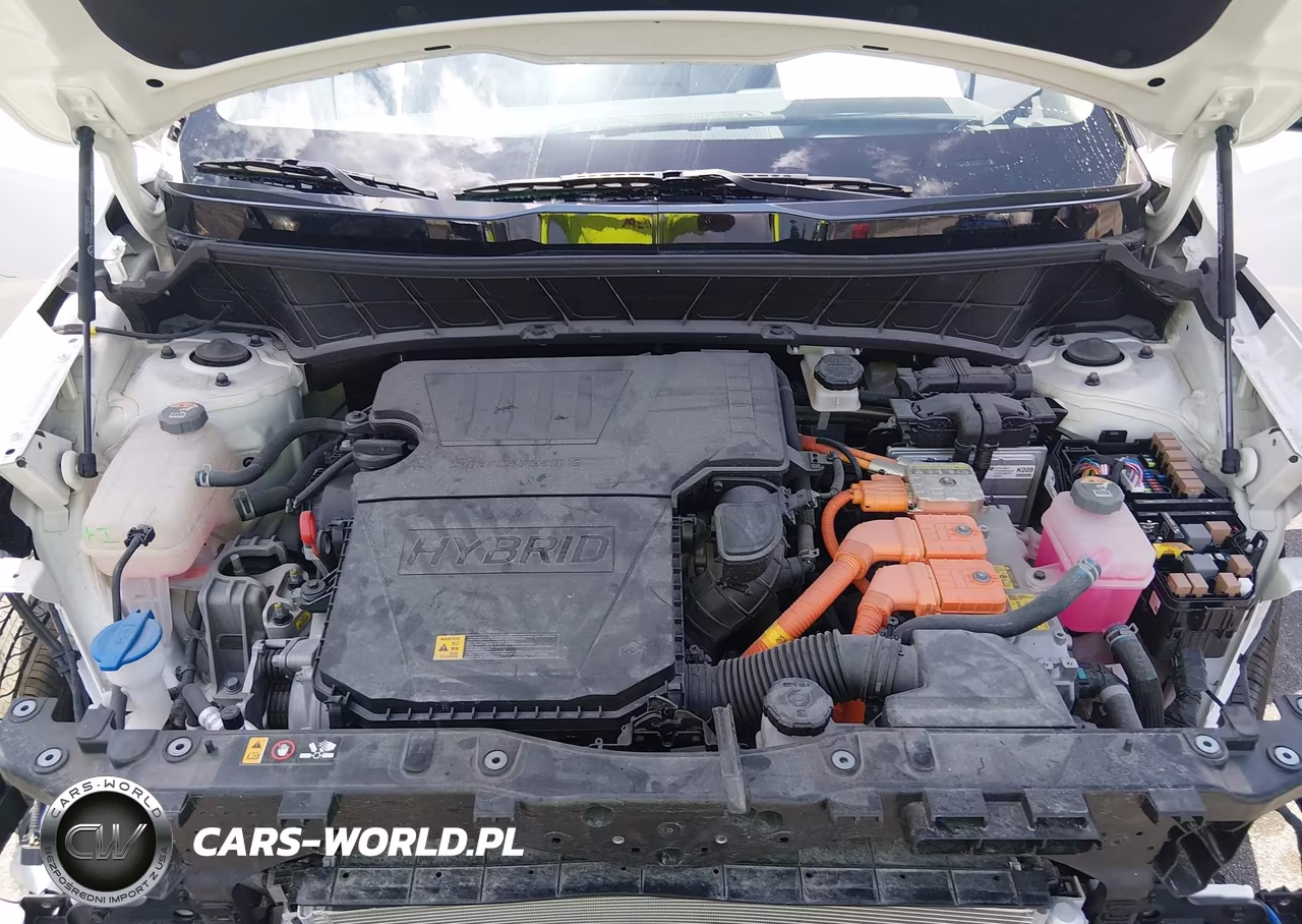 2024 Kia Niro Ex Touring VIN:KNDCR3LE0R5170225 - 10
