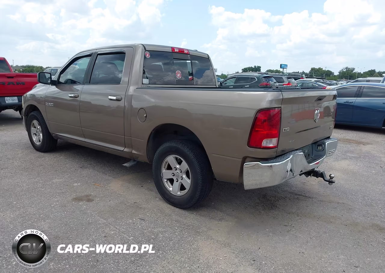 2010 Dodge Ram 1500 Slt-Sport-Trx VIN:1D7RB1CP8AS156198 - 3