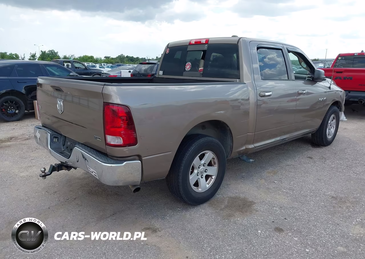 2010 Dodge Ram 1500 Slt-Sport-Trx VIN:1D7RB1CP8AS156198 - 4
