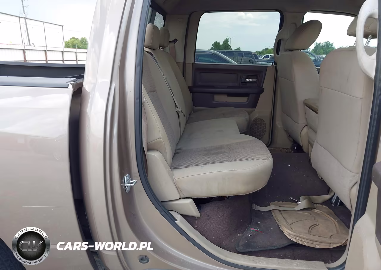 2010 Dodge Ram 1500 Slt-Sport-Trx VIN:1D7RB1CP8AS156198 - 8