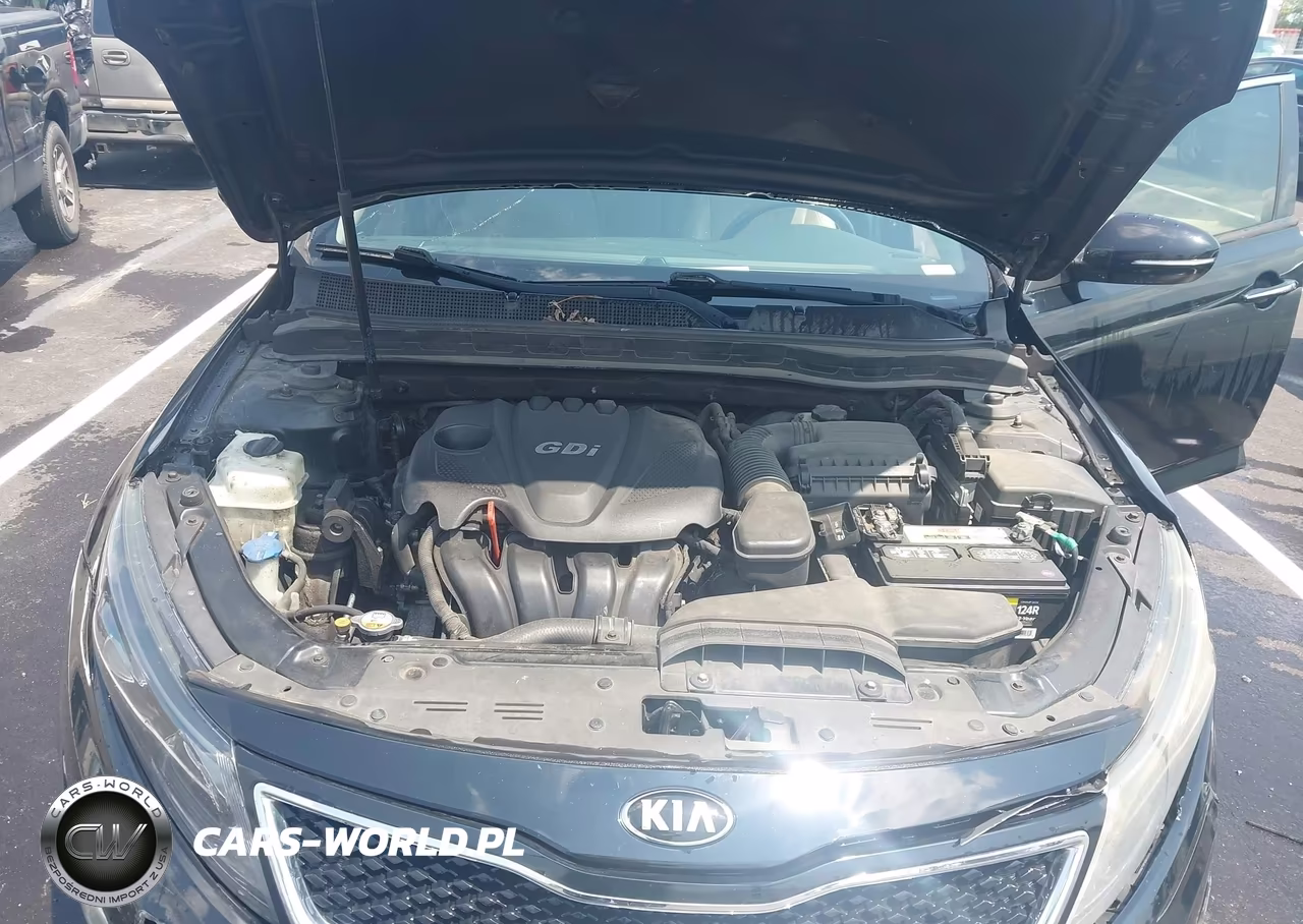 2015 Kia Optima Ex VIN:5XXGN4A72FG499233 - 10