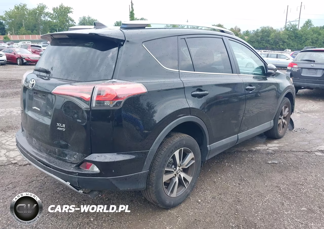 2017 Toyota Rav4 Xle VIN:2T3RFREV4HW668731 - 4