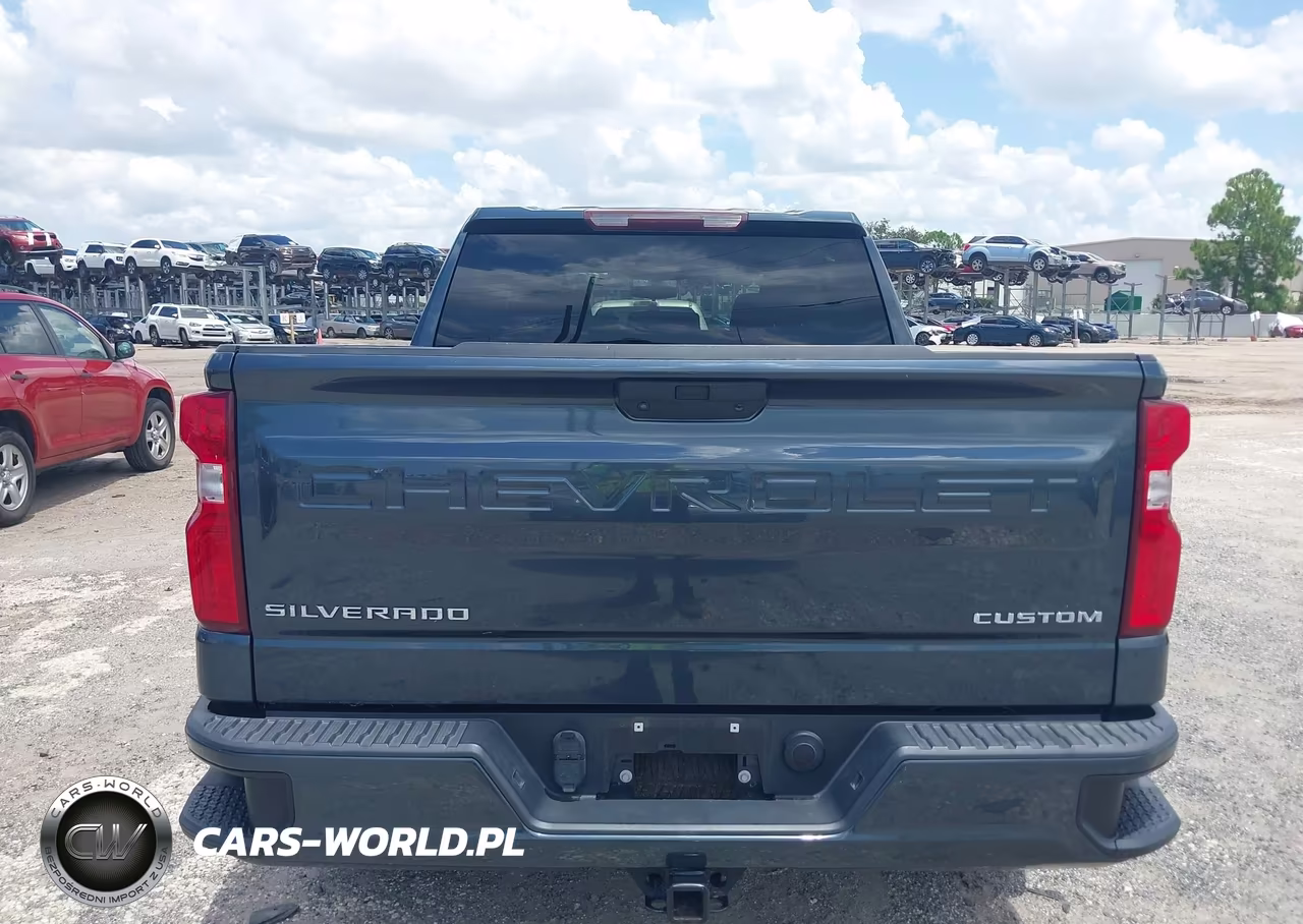 2020 Chevrolet Silverado 1500 2Wd Short Bed Custom VIN:3GCPWBEK7LG326221 - 17