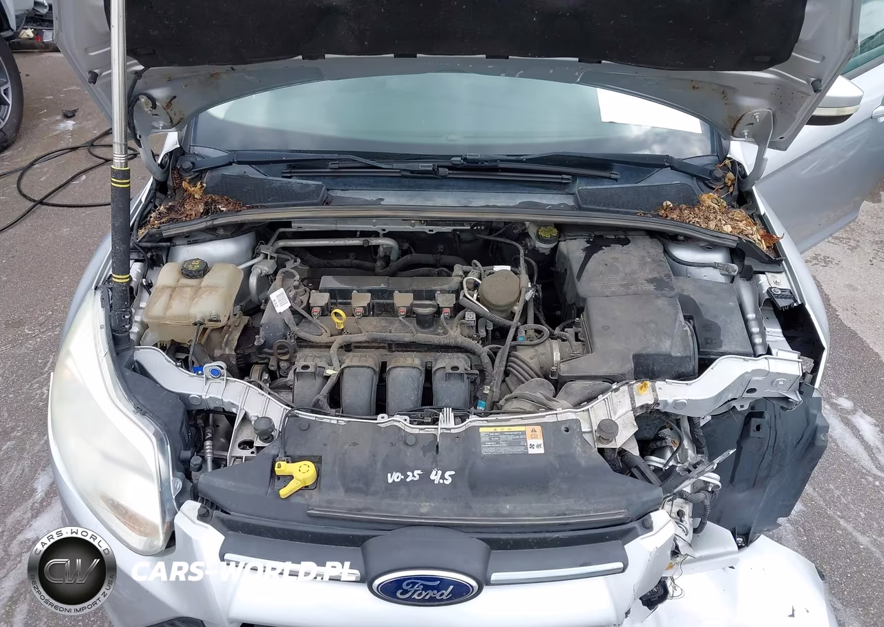 2014 Ford Focus Se VIN:1FADP3F25EL194771 - 10