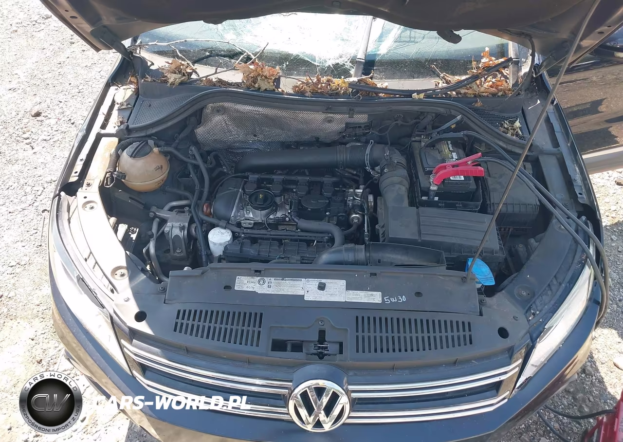 2012 Volkswagen Tiguan Se VIN:WVGAV7AX8CW524245 - 10