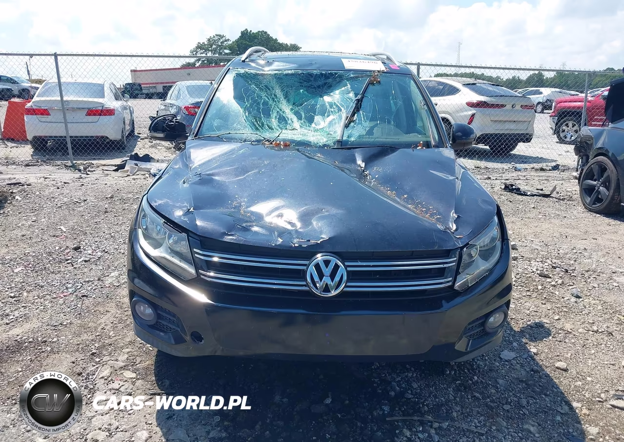 2012 Volkswagen Tiguan Se VIN:WVGAV7AX8CW524245 - 12