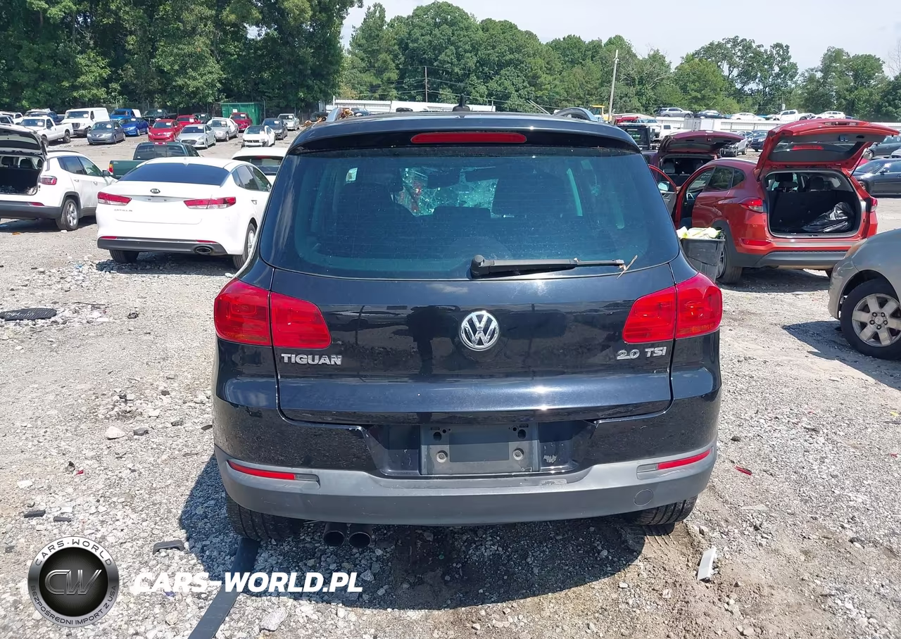2012 Volkswagen Tiguan Se VIN:WVGAV7AX8CW524245 - 16