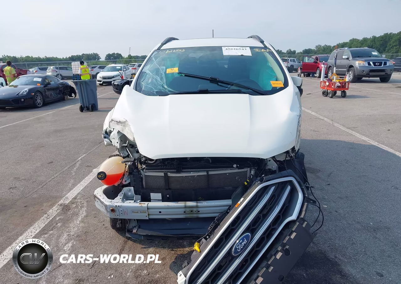 2019 Ford Ecosport Se VIN:MAJ6S3GL6KC300011 - 12