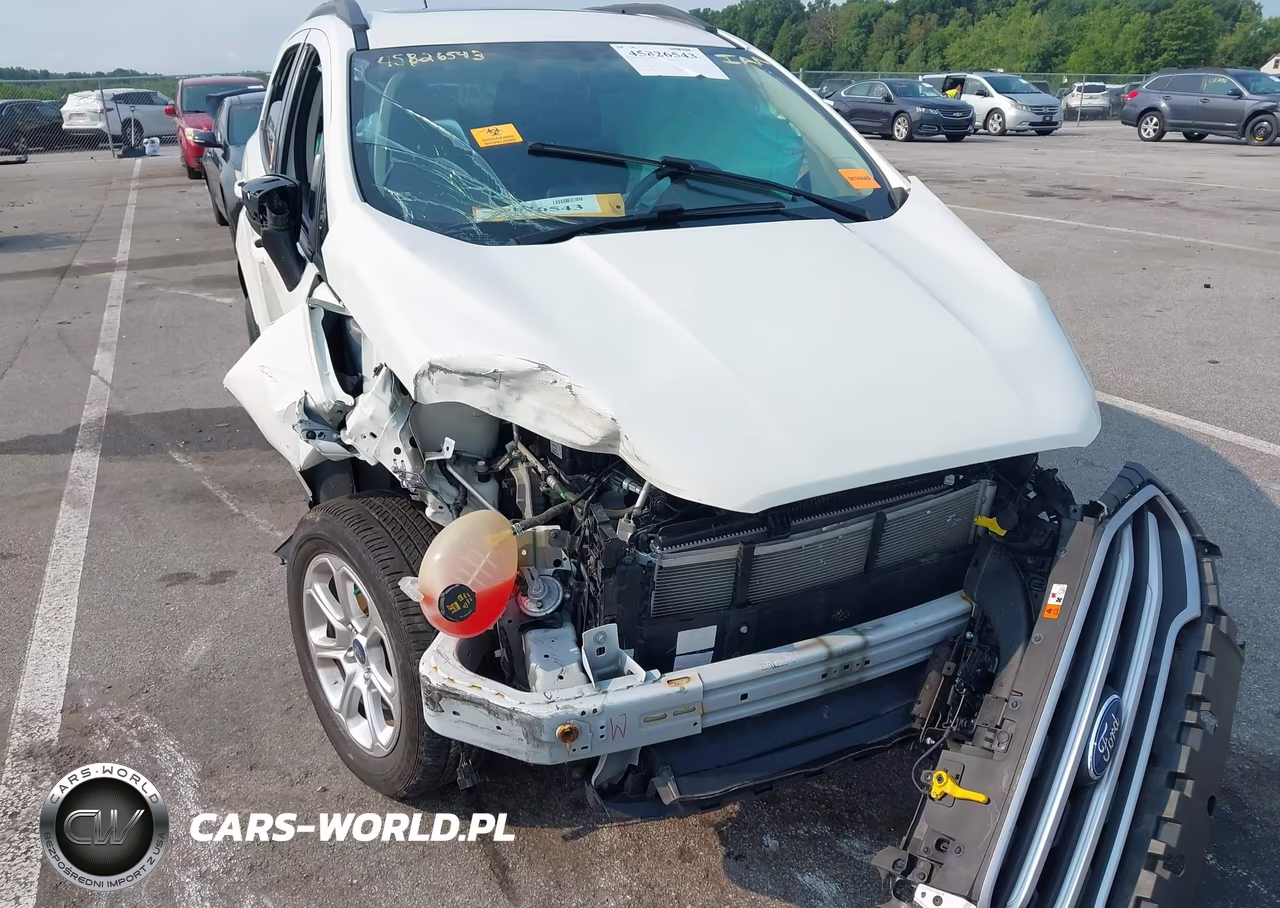 2019 Ford Ecosport Se VIN:MAJ6S3GL6KC300011 - 17