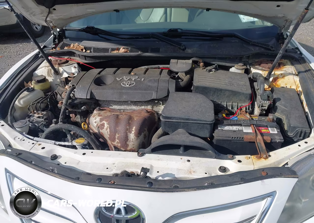 2010 Toyota Camry Xle VIN:4T1BF3EK9AU541928 - 10