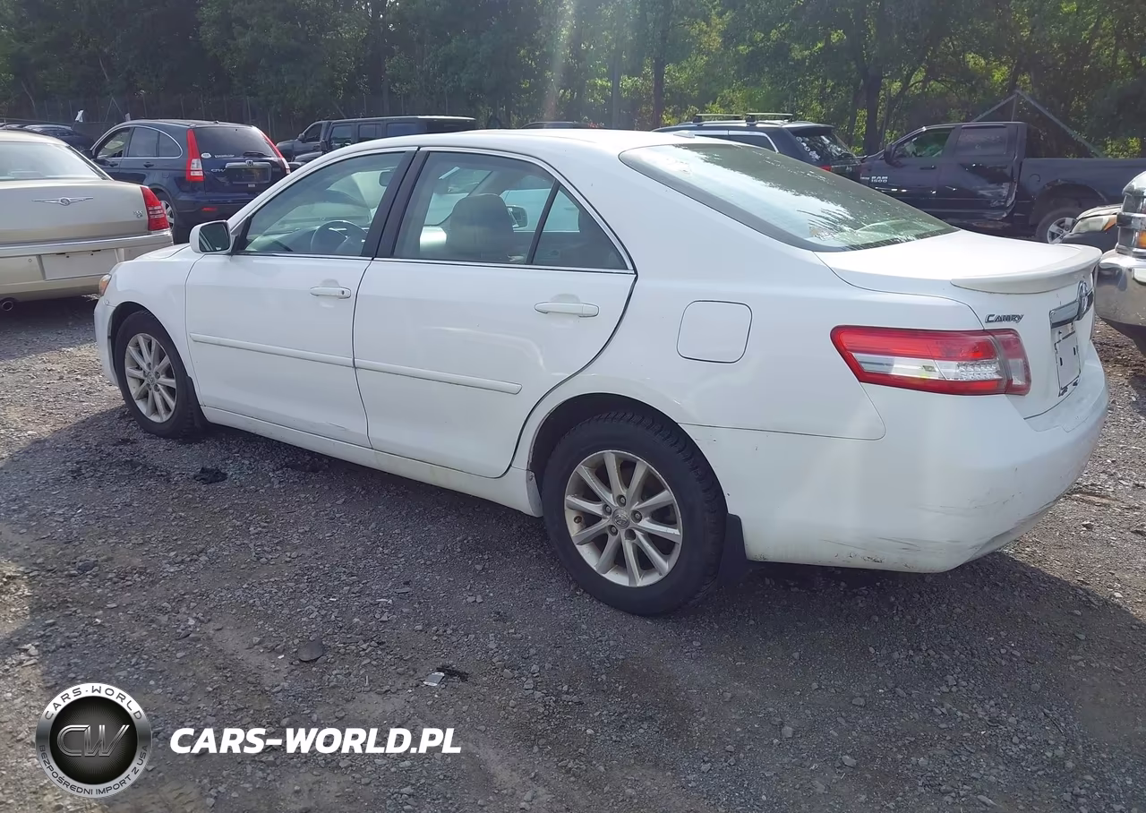 2010 Toyota Camry Xle VIN:4T1BF3EK9AU541928 - 3