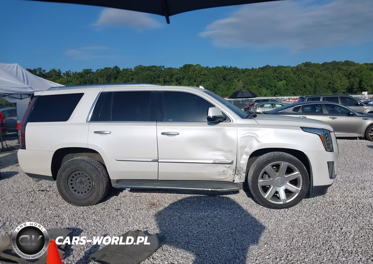 2016 Cadillac Escalade Luxury Collection VIN:1GYS3BKJ5GR312493 - 13
