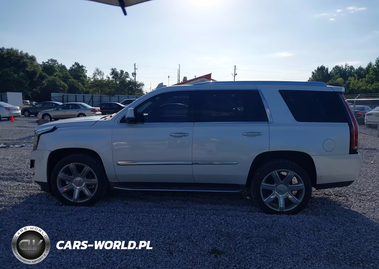 2016 Cadillac Escalade Luxury Collection VIN:1GYS3BKJ5GR312493 - 14