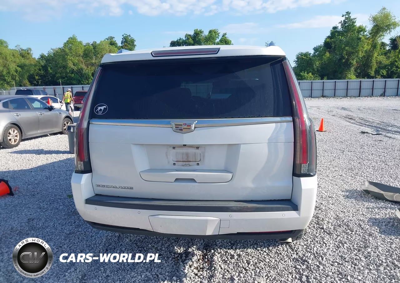 2016 Cadillac Escalade Luxury Collection VIN:1GYS3BKJ5GR312493 - 16